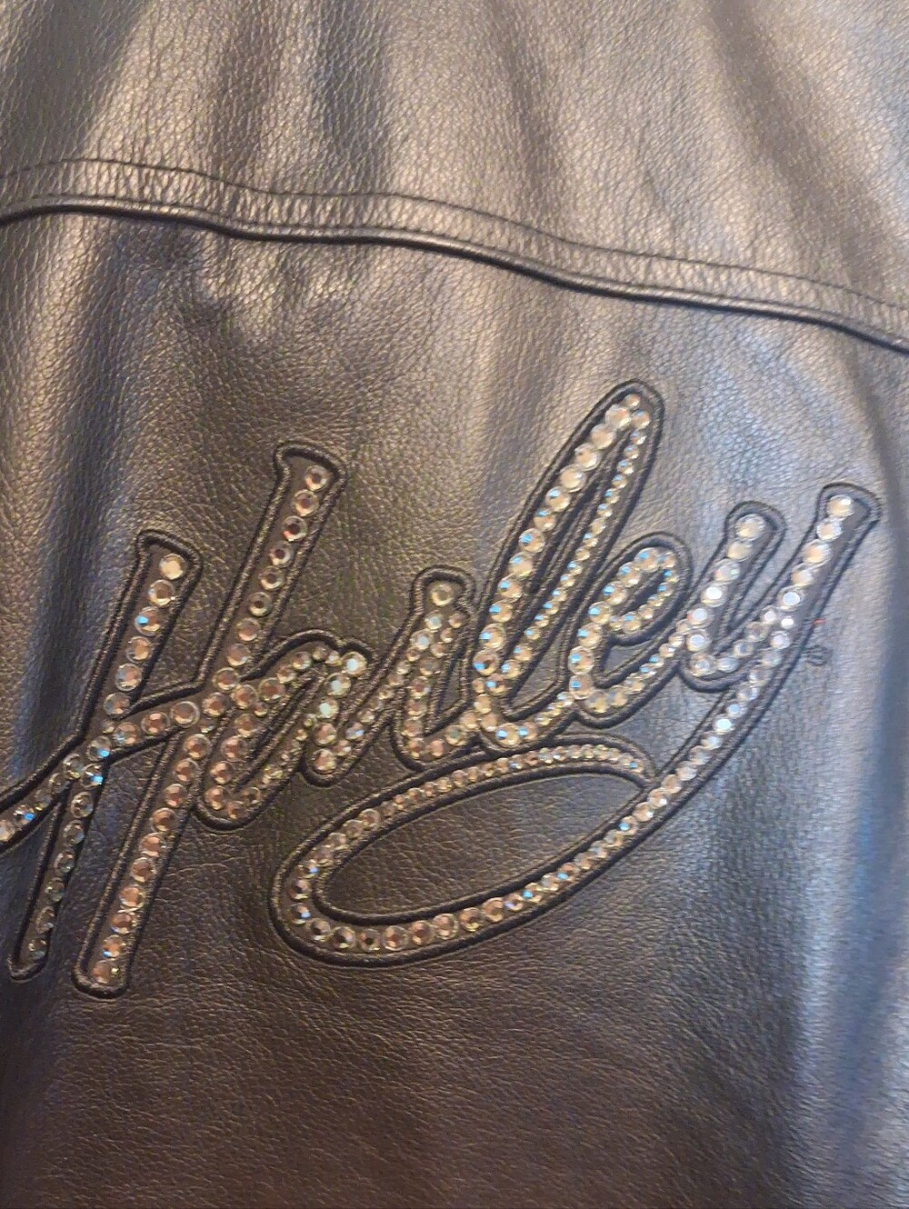 New Sparkly Harley Davidson Riding Jacket